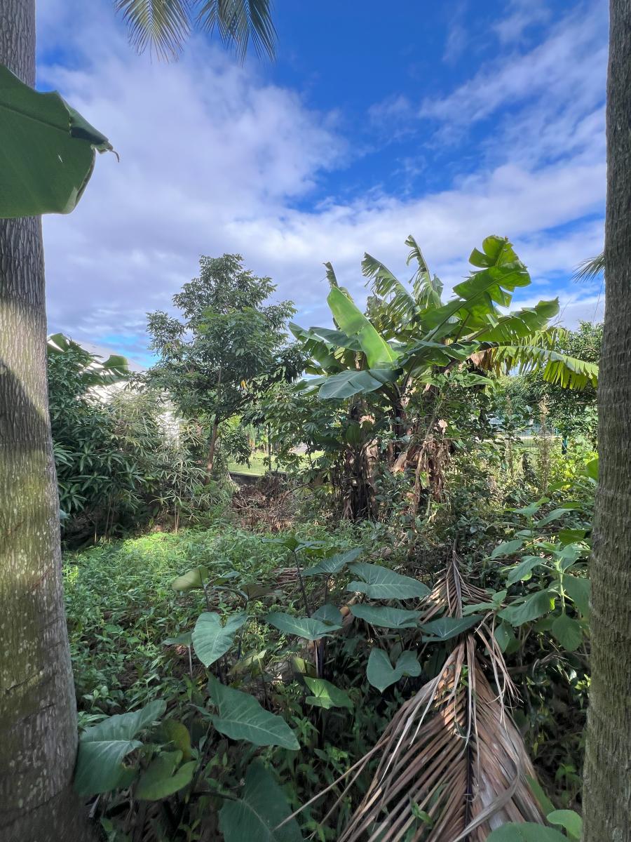 SAINT-JOSEPH - LES JACQUES - Maison T3 à rénover – Image 10