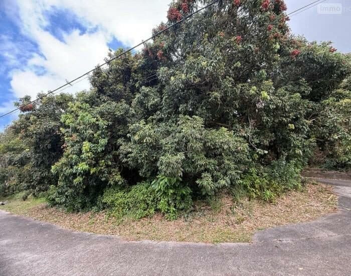 SAINT-JOSEPH - PLAINE DES GREGUES - Terrain nu de 928m²