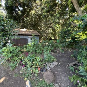 LA RIVIERE SAINT-LOUIS haut du Ruisseau- Terrain à bâtir