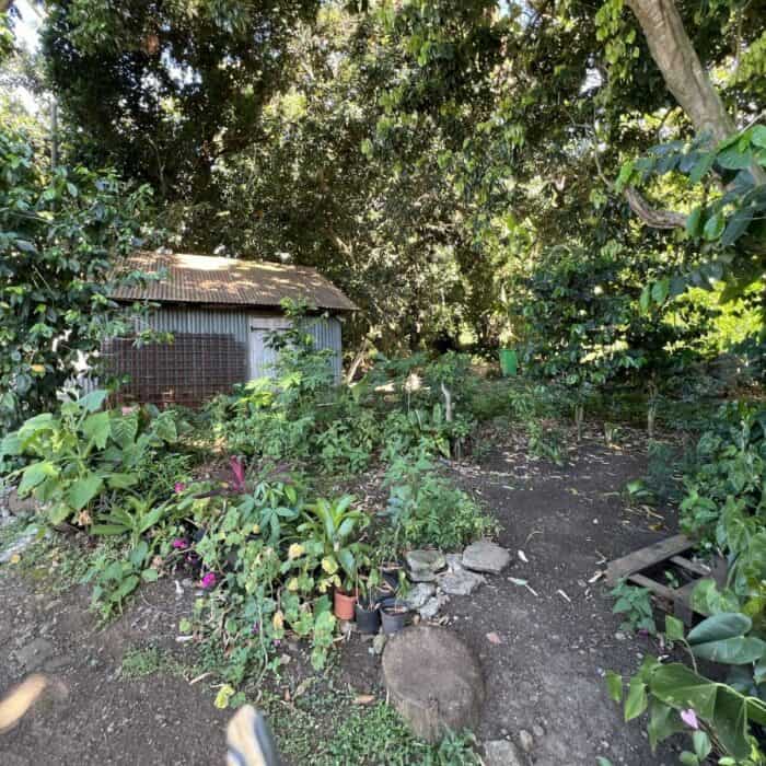 LA RIVIERE SAINT-LOUIS haut du Ruisseau- Terrain à bâtir