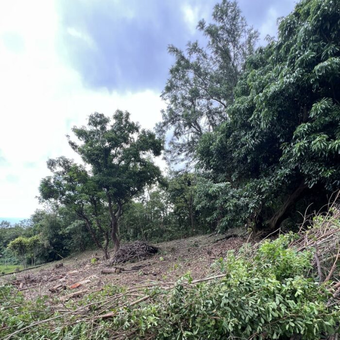 SAINT-LEU - TERRAIN A BATIR DE 734 M²