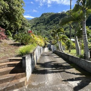 ENTRE-DEUX - RAVINE DES CITRONS - Maison F3 sur 5320 m² avec vue sur montagne