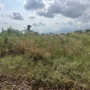 SAINT-PIERRE - RAVINE DES CABRIS - Terrain à bâtir de 528 m²