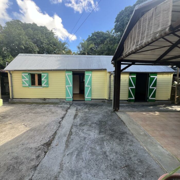 SAINT-PIERRE - RAVINE DES CABRIS - Ensemble immobilier atypique sur 885 m²