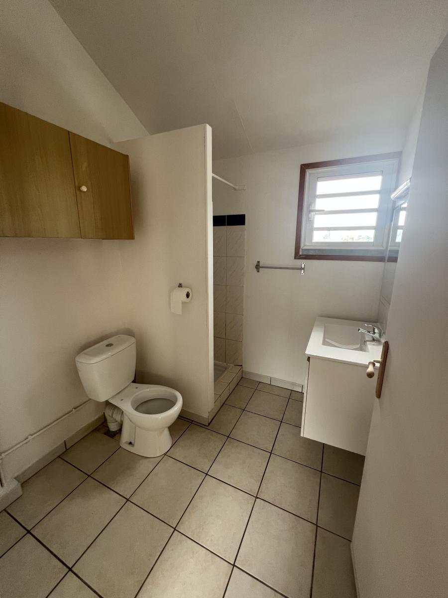 SAINT-PIERRE - RAVINE DES CABRIS - Ensemble immobilier atypique sur 885 m² – Image 15