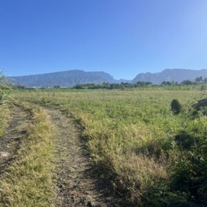 SAINT-PIERRE – Ligne Paradis – Terrain constructible de 536 m² avec vue dégagée sur les montagnes