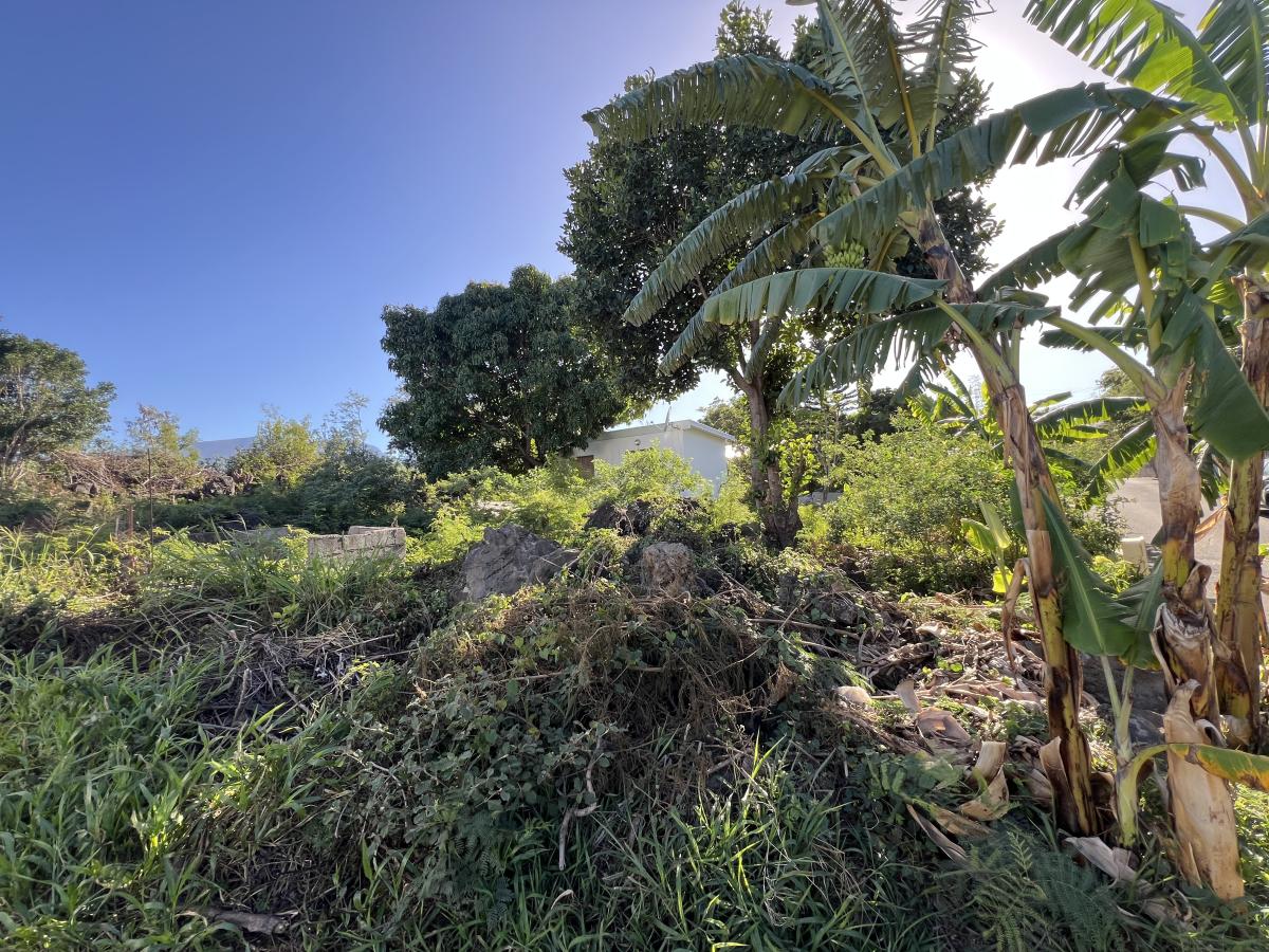 SAINT-PIERRE – Ligne Paradis – Terrain constructible de 536 m² avec vue dégagée sur les montagnes – Image 2
