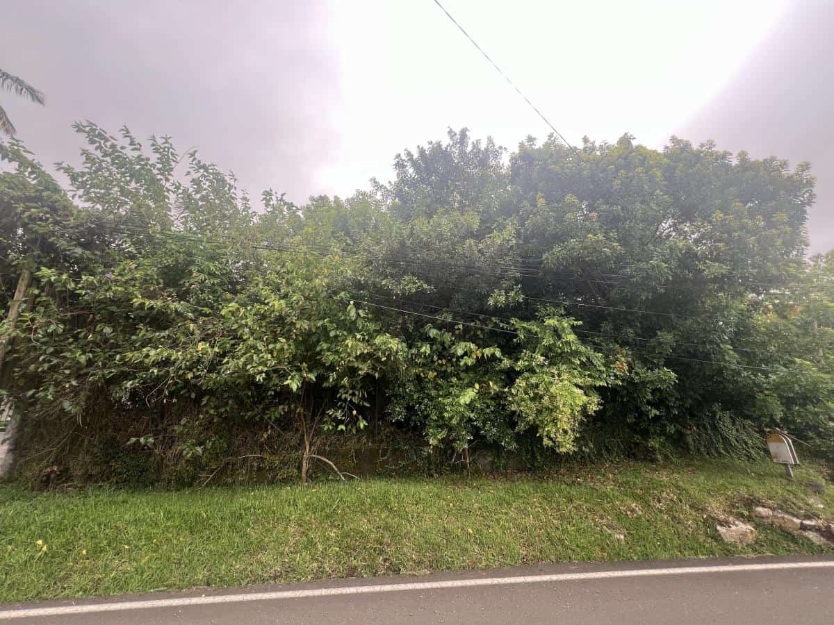 PETITE-ILE - Terrain à bâtir de 568 m²